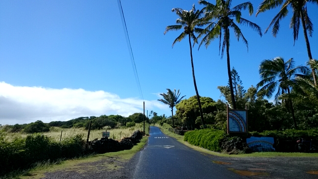 マウイ島の自然